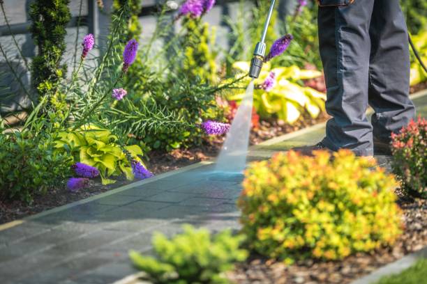 Best Parking Lot and Garage Cleaning  in New Bern, NC